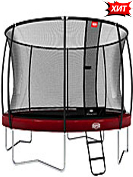 Батут з сіткою Berg Champion 430