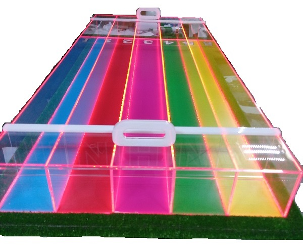 Тараканячі перегони